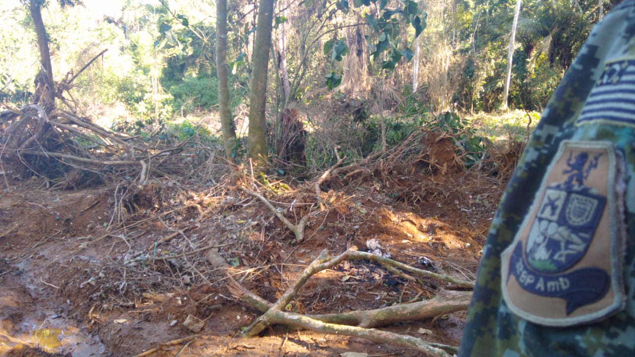 Crime ambiental em Ubatuba: mais de 2 mil metros quadrados desmatados (Imagem: Polícia Ambiental)