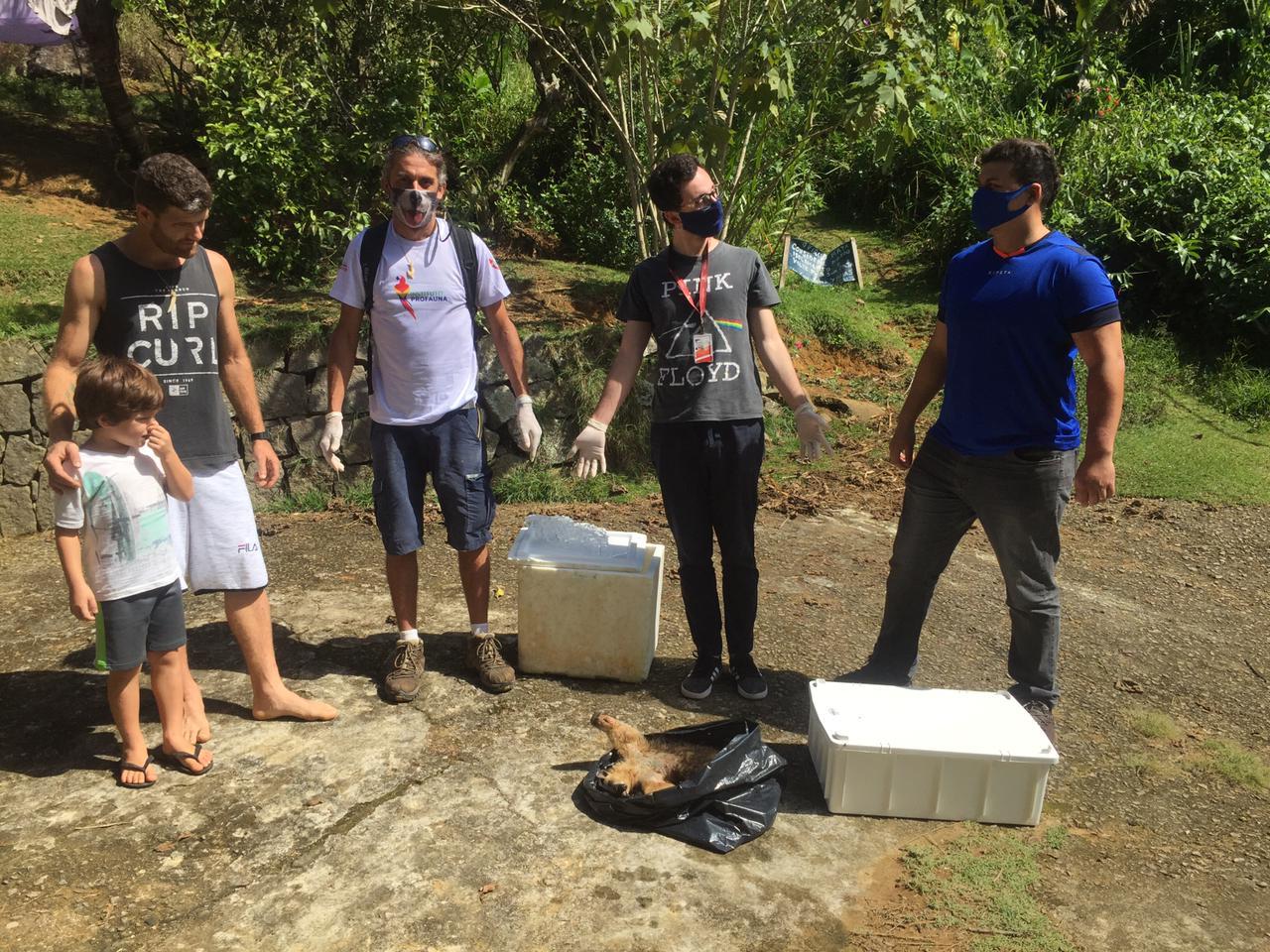 Equipe do instituto com o corpo do tamanduá-mirim foi encontrado em trilha de Ubatuba (Foto: Profauna/Divulgação)