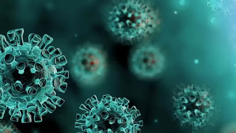H3N2 Caraguatatuba