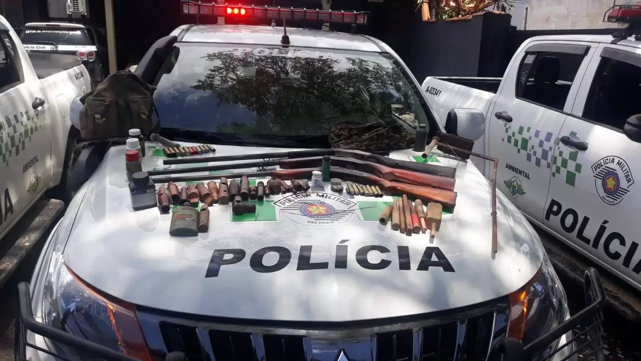 pássaros