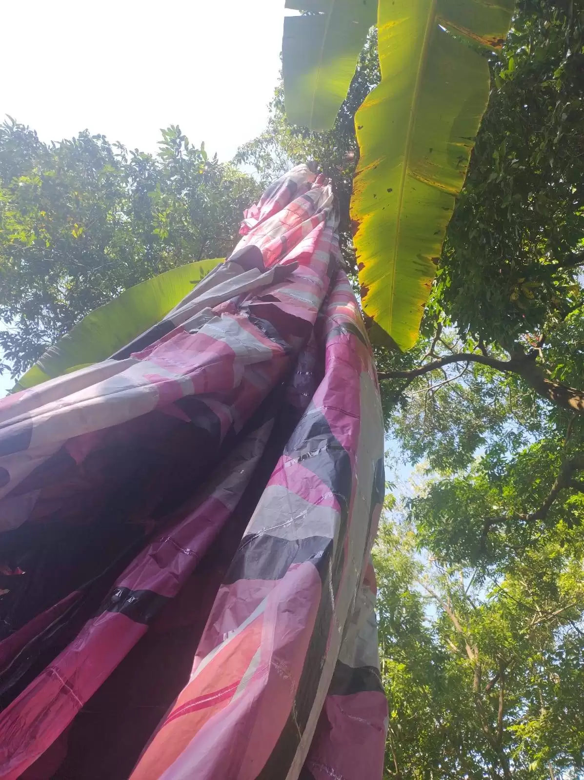 balão