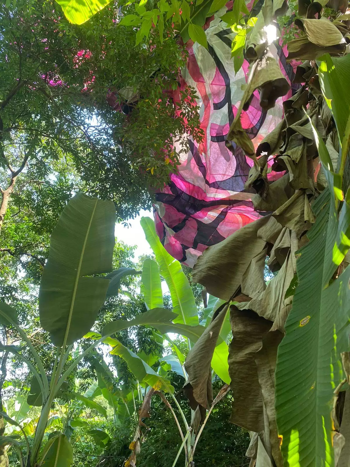 balão