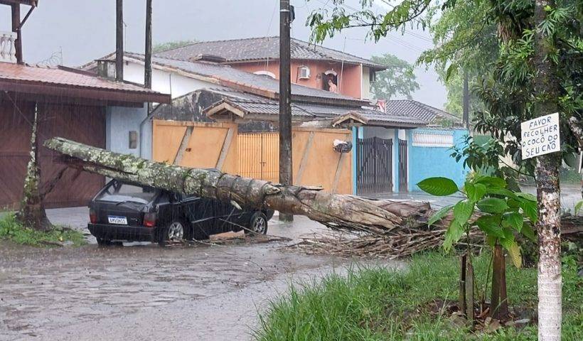 ventos litoral norte