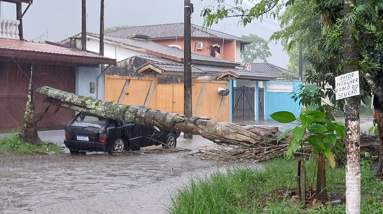 ventos litoral norte