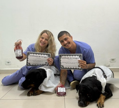 doação de sangue