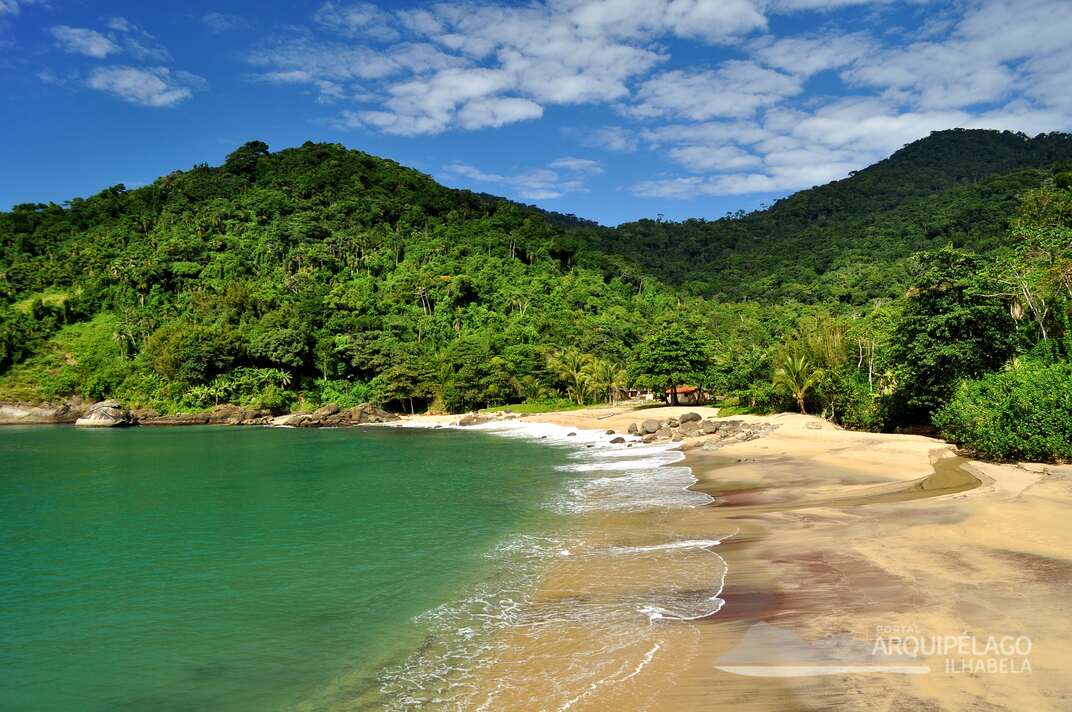 figueira escola ilhabela