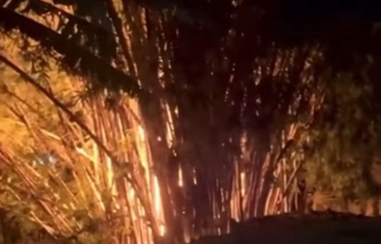 incêndio