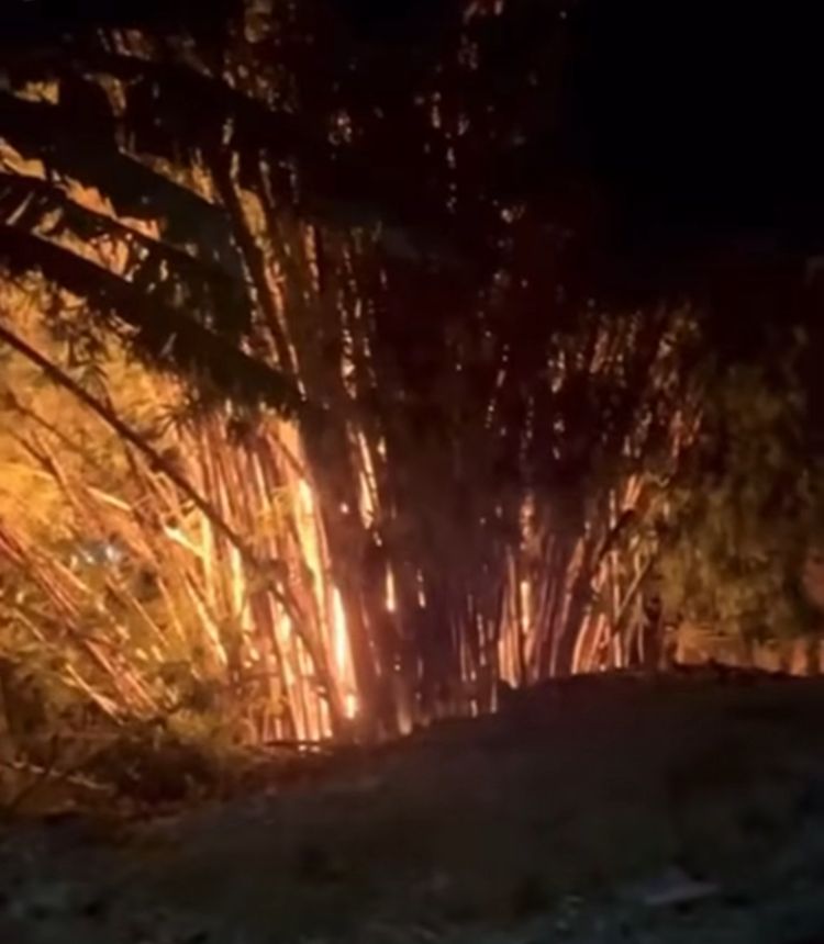 incêndio