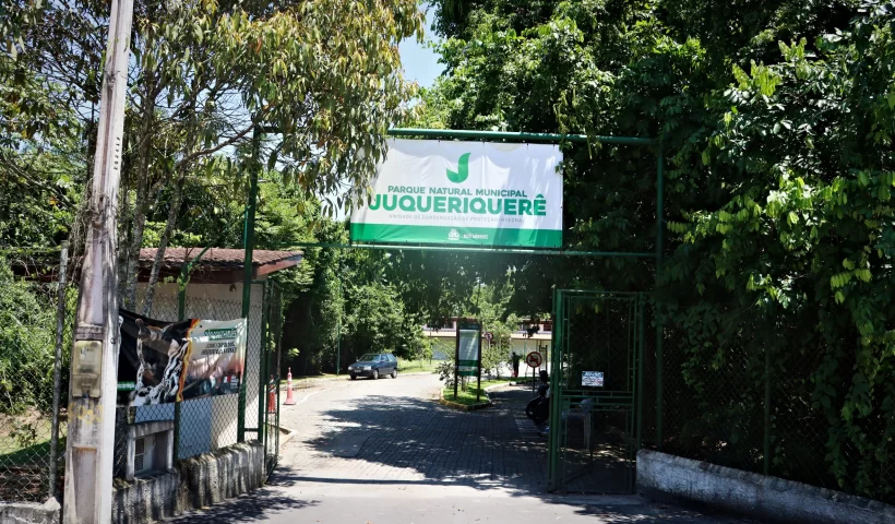 voluntariado