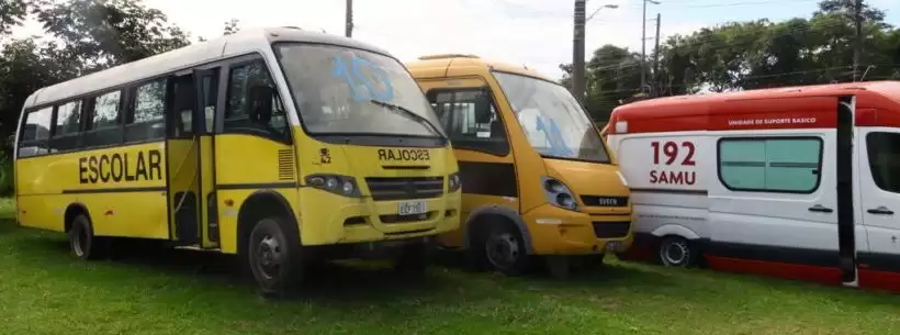 leilão