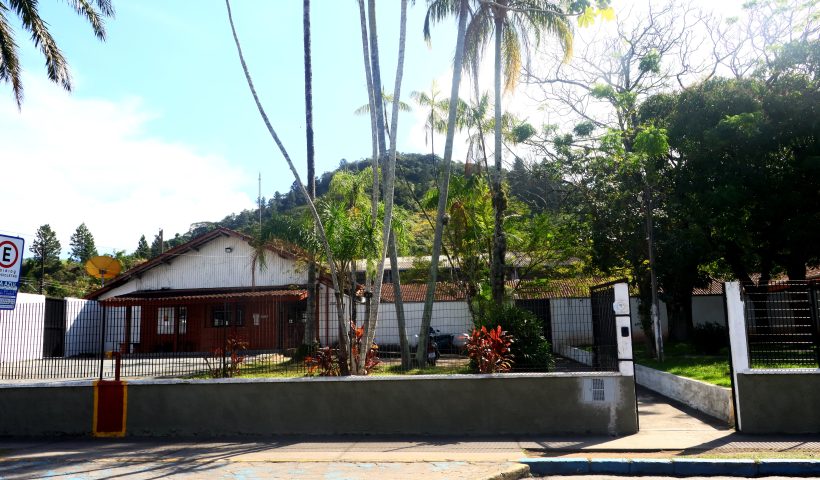 agosto lilás