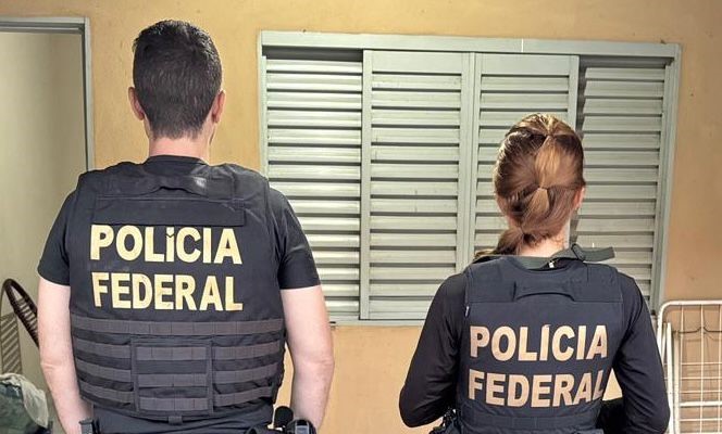 crimes ambientais