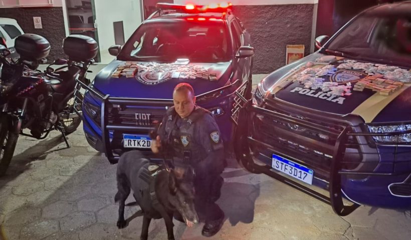 cão