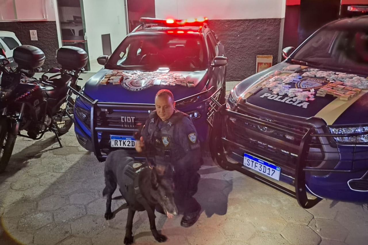 cão