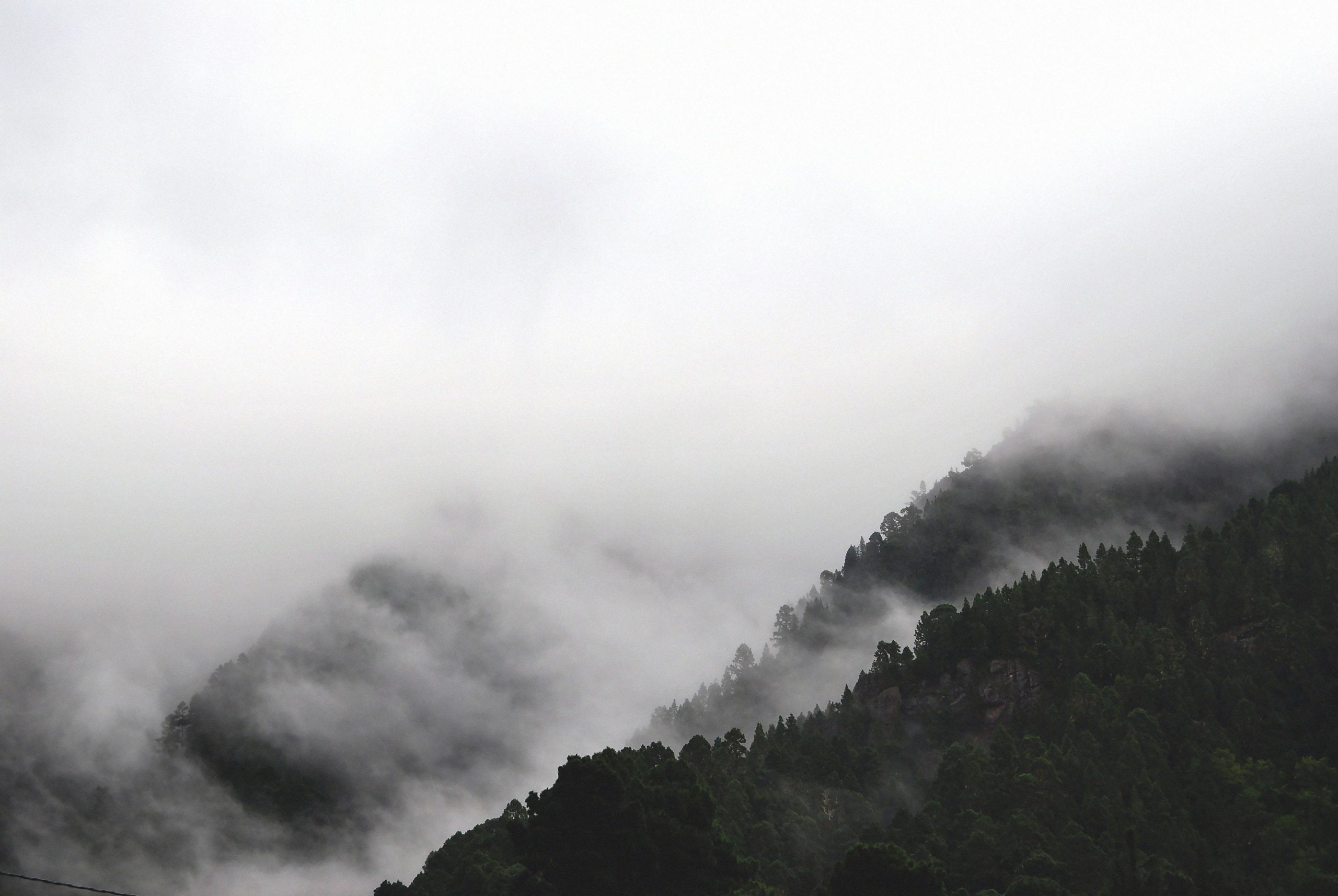 frio