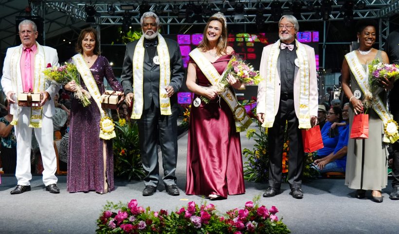 concurso miss
