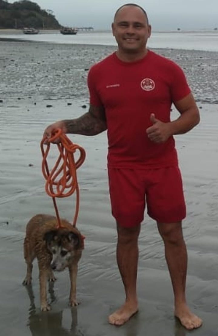cão