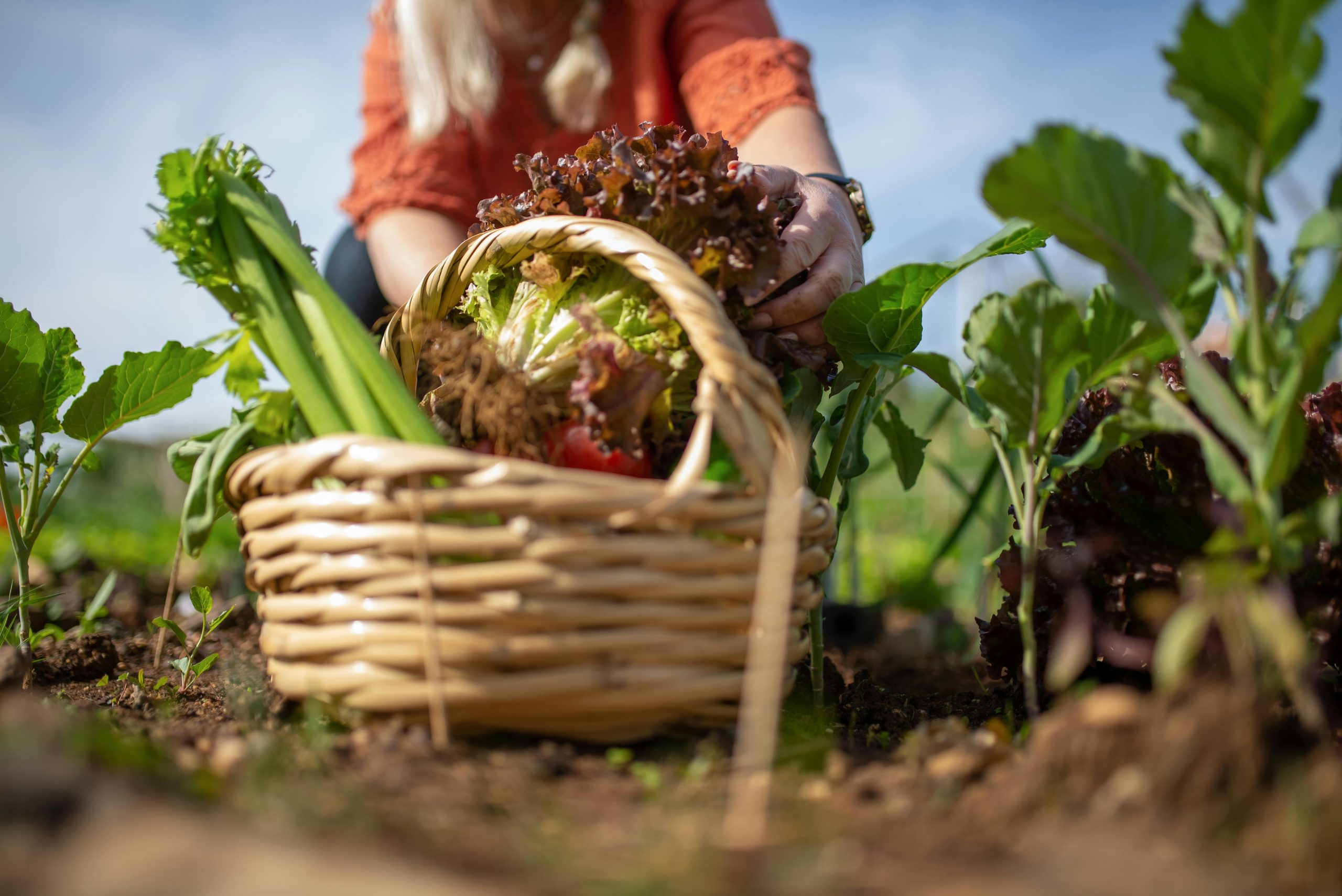 agricultura familiar
