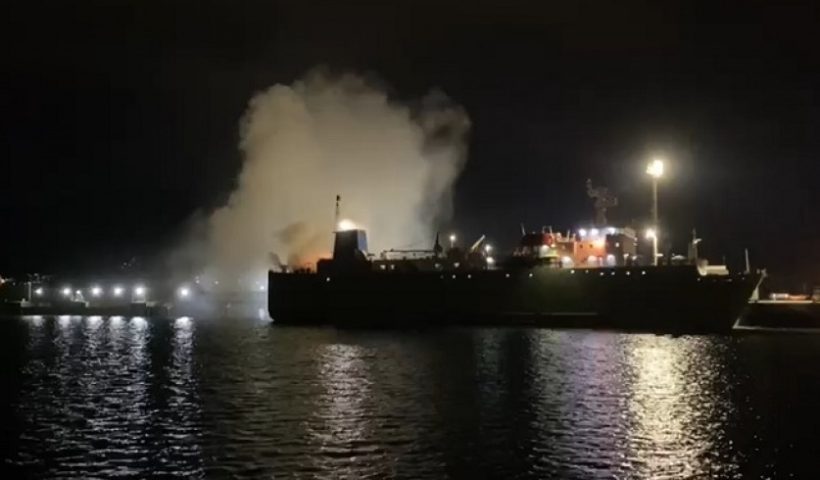 gado incendio porto sao sebatsiao