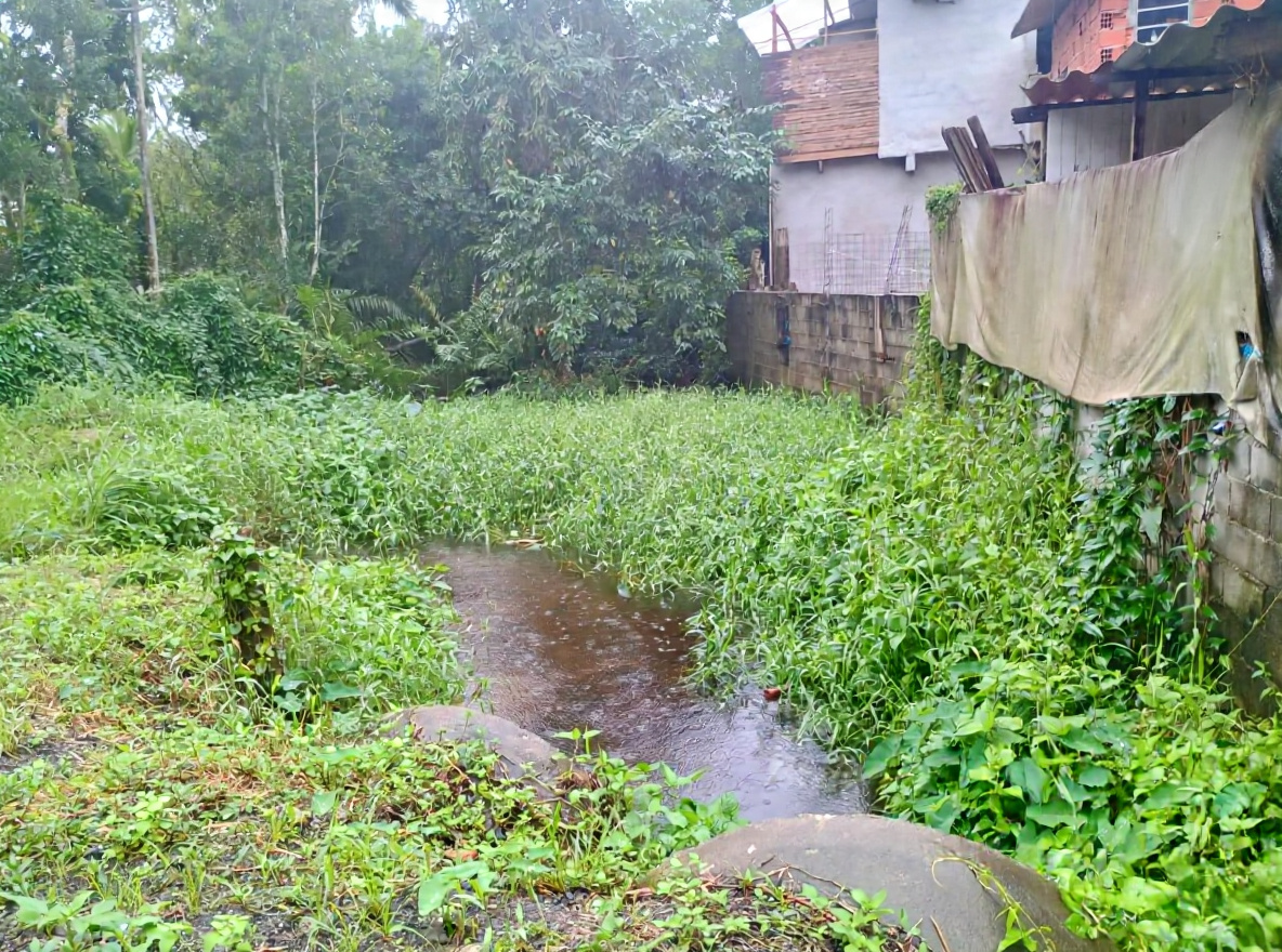 chuva