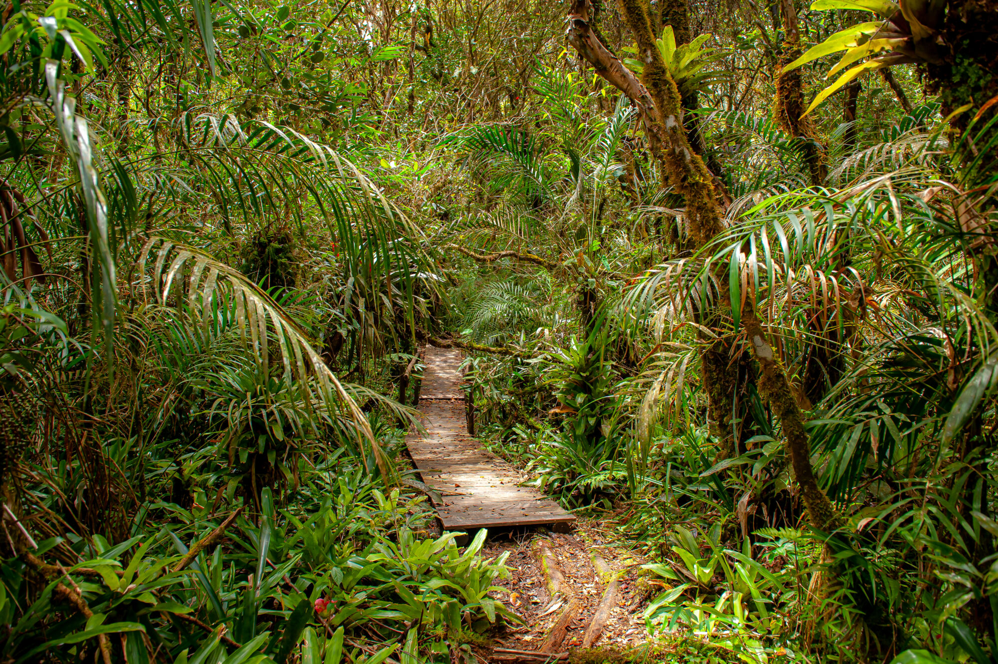 parque