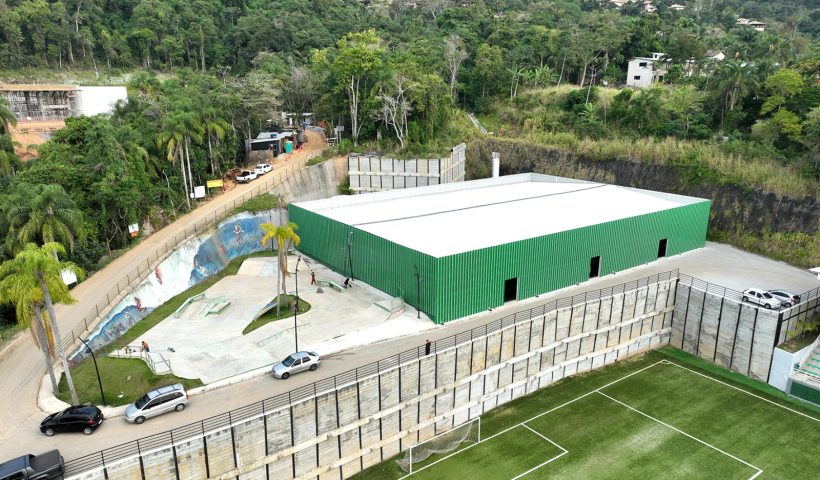palmeiras