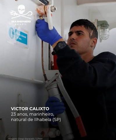 caça a baleias Islândia