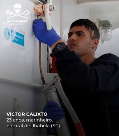 caça a baleias Islândia