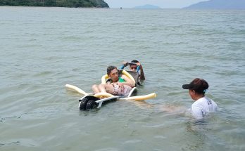 turismo acessível