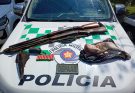Polícia Ambiental flagra caça ilegal de jacutinga e paca em Ilhabela