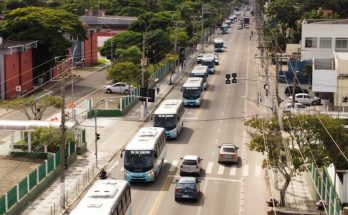 transporte gratuito