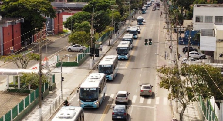 transporte gratuito