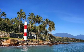 ponta das canas